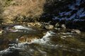 釣り人の季節到来！  辰年 天竜川「解禁・フライフィッシング釣行」 【長野県】2024年の画像003