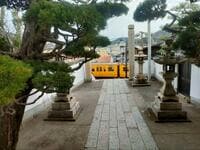 一度は行きたい「尾道」の「古寺＆坂＆路地」散策！ 4回訪問でも「ボーっとして失敗」ライターが教える「ササッと＆迷わない」3時間コース「攻略のコツ」