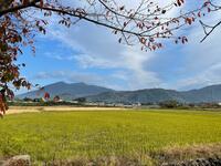 日本百名山「筑波山」 サイクリングでアプローチ＆登山！  JR土浦駅でレンタル・つくば霞ヶ浦りんりんロード利用！ 「現地レポ」