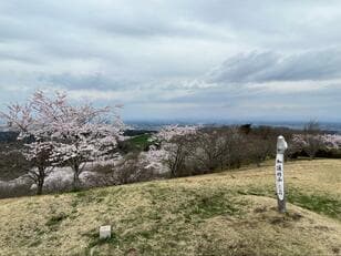 「最少ギア」で何もしない「脱力キャンプ」！ 「サウナ・焚き火・グルメ」を満喫する「俺のゆるキャン△」レポ
