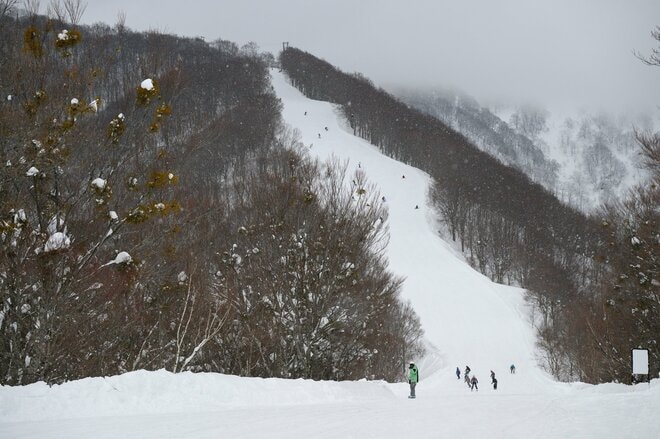 【野沢温泉スキー場】国内有数のビッグゲレンデを「日帰り」で楽しみ尽くす！  野沢へ行くなら「滑るべきコース」はここ！ の画像018