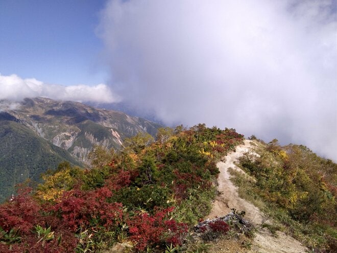 紅葉シーズン最盛期間近！「白馬五竜高山植物園」 一足早い秋の高原を彩る国内外の“高山植物の競演”に酔うの画像011
