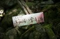 【首都圏近郊おすすめルート】金峰山へと続く幻の古道「御嶽道」が想像以上に素晴らしい！  実地踏査レポートの画像004