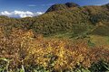 秘境！ 絶景！ ここだけは行きたい！【紅葉の山歩き ベスト3】信越 後編「信越トレイル・雨飾山・妙高山」の画像009