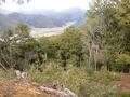 眺望抜群！ 難攻不落の山城跡「荒木城跡」急傾斜でも整備OK！  35分の低山ハイキング＆その先 “謎だらけ？” の「燈明寺」とは「実踏レポ」【兵庫県丹波篠山市】の画像010