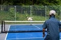 【東急リゾートタウン蓼科・長野県】森の世界でスペシャル体験！  アメリカ発の人気ラケットスポーツ「ピックルボール」 家族で「ワークショップ」 自然の恵み「蓼科ジビエ」 風切る爽快「Eバイク」の画像015