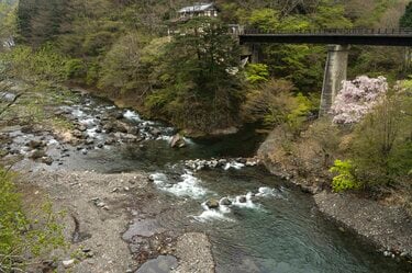 渓流釣り】「本流は尺クラスのヤマメ連発！ 支流はつぶらな山女たちが
