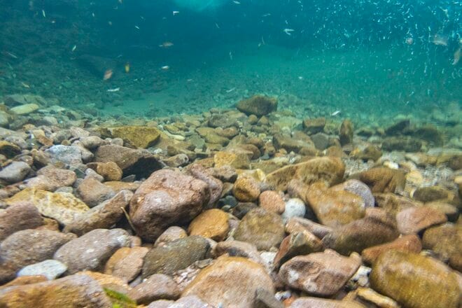 「渓流魚たちがいなくなる前にできることを」 持続できる釣り場環境のために！ 奥只見“人工産卵床造成”参加レポート【2023年・新潟県魚沼市】の画像005
