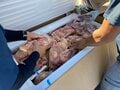 ＜山小屋の看板メニューができるまで＞光岳小屋の夕食がみんな大好きな「あの一皿」に決まった理由とは？【わたし、山小屋はじめます vol.31】の画像001