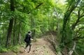 【6月に歩きたい首都圏近郊ハイキングルート】梅雨時の覚えておきたい新宿から1時間半の名低山「高川山」の画像009