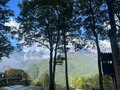今週末の紅葉見るならどこ？  名所＆人気スポットから最新情報をお届け「WEEKLY紅葉ニュース」【2023年10月第2週】の画像010
