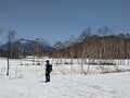 「ゴールデンウィーク限定」ルートで楽しむ「残雪期の尾瀬・至仏山」！  春の雪山ハイキングの画像011