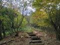 階段地獄「絶景アルプス」でのスリル満点「登山＆トイレ」体験とは！？  丹波篠山「御嶽・小金ヶ嶽」多紀連山レポの画像001
