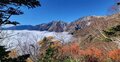 【2024年11月 第1週】今週末の紅葉の見ごろは？ 名所＆人気スポットの最新情報をお届け「WEEKLY紅葉ニュース」の画像016
