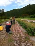 「田舎の仕事探し事情」移住者の実体験をお伝えします【耕して、焙煎して、走る男　人口2,800人の村に移住してみました vol.3】の画像002