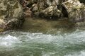 【渓流釣り】滝上のパラダイス！ 「雪代のなかから飛び出す美形イワナ」  岐阜県庄川水系、2025年の画像007