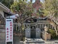 「梅が咲くなか、癌封じ」 菅原院天満宮神社へ！【関西おみくじジャーニーvol.31／京都市上京区】の画像003