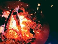 「栗の木」の薪が愛され珍重される理由とは？  イガグリを焼いて食べた「焚き火」レポート
