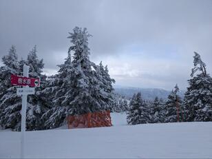 「まさしくスノーモンスター」見頃は3月下旬まで！ 山形県・蔵王の風物詩「樹氷」と「氷瀑」の異様な姿
