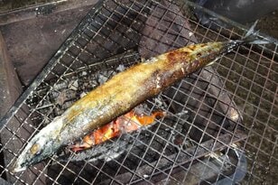 【豊漁の今年は美味しくいただきたい】新提案「サンマ」の炭火焼「網につかない＆皮も身も崩れない」方法！  キャンプ・BBQで失敗しない裏ワザ