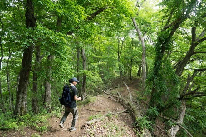 【6月に歩きたい首都圏近郊ハイキングルート】梅雨時の覚えておきたい新宿から1時間半の名低山「高川山」の画像009