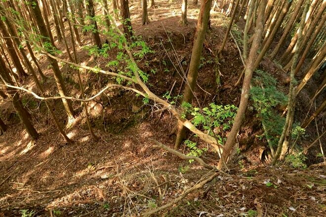 【NHK大河『豊臣兄弟！』ゆかりの城】ド肝抜く「主郭の大堀切」は、ほんの始まり…「土佐国・内田城〈前編〉」（高知県東洋町）【戦国の山城を攻める vol.11】の画像023