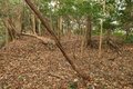 出丸の大切岸と圧巻の畝状竪堀群！  約4時間にわたる実地踏査でみた防衛遺構とは　石見国・松山城〈後編〉（島根県江津市）【戦国の山城を攻める vol.04】の画像007