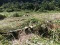 移住10年でわかった「田舎ならではの人間関係」と「地域住民が移住者に期待していること」【耕して、焙煎して、走る男　人口2,800人の村に移住してみました vol.11】の画像003