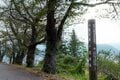 【トレイル】どこを歩こうか迷う！  歴史を感じながら古道「塩の道」を歩く現代の旅へ  新潟県・長野県、2024年の画像001