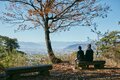 ”整える” 山旅！  甲府盆地の「超低山」と「温泉銭湯」を巡るショートトリップ【南アルプスの日々 vol.10】の画像006