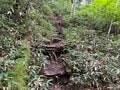 山は誰が守っていくのか？  従来の枠組みを超えた「未来型の登山道管理」へ【100年先までつなぐ、大雪山の自然と登山道 vol.3】の画像005