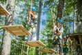 「日光白根山」関東以北“最高峰” 頂上から見る360度の大展望と高山植物に恵まれた美しき山【首都圏発！週末に行ける百名山ガイド vol.4】の画像007
