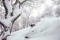 「夏油、八幡平、安比」ほか、まだまだパウダー競争率が低い “穴場ゲレンデ” 多数【ツリーランが滑れる全国スキー場ガイドvol.2  東北 編】の画像002