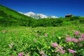 『白馬八方尾根』北アルプスの山々を視界に収めながらの「絶景トレッキング」はここならでは！  白馬三山を映す「八方池」は必見の価値あり【特集・夏山で遊ぼう】の画像002