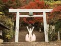 国宝の城「神ファイブ」入り！ 愛知県・犬山城の日本最古の天守と「クセがスゴイ」岡山じゃない桃太郎神社とは？の画像001