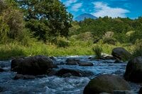 【渓流釣り】10月、シーズンのフィナーレ！  芝川でフライフィッシング・静岡県 2024年