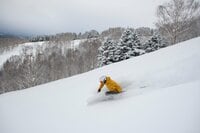 【志賀高原 焼額山スキー場】フリーク垂涎の新パウダーコース「YAKEBI COAST」 どこまでも続く “浮遊感” はヤケビ最長コースの特権（長野県山ノ内町）