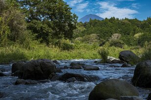 【渓流釣り】10月、シーズンのフィナーレ！  芝川でフライフィッシング・静岡県 2024年