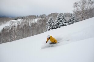 【志賀高原 焼額山スキー場】フリーク垂涎の新パウダーコース「YAKEBI COAST」 どこまでも続く “浮遊感” はヤケビ最長コースの特権（長野県山ノ内町）