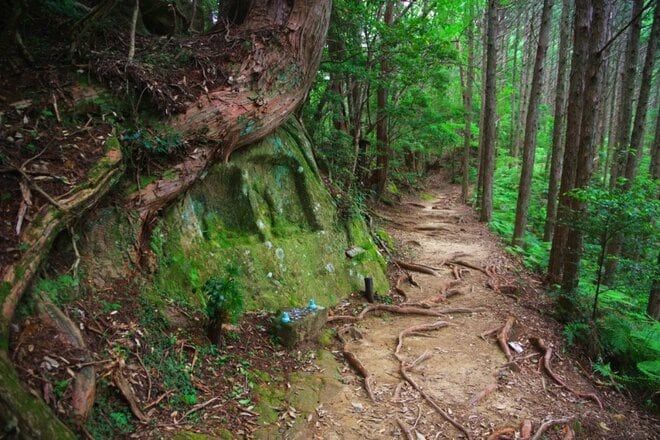 【熊野古道中辺路】じつはサブルートも楽しい！「中辺路」のおかわりコースを解説＜熊野古道の歩き方 vol.3＞の画像006