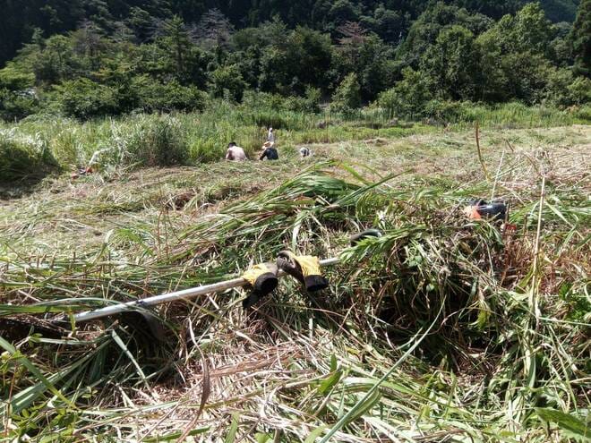 移住10年でわかった「田舎ならではの人間関係」と「地域住民が移住者に期待していること」【耕して、焙煎して、走る男　人口2,800人の村に移住してみました vol.11】の画像003