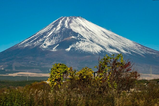 【渓流釣り】冬季キャッチ＆リリース！ 風光明媚な富士の裾野『黄瀬川』で、日がな一日ロッドを振り続けてフライフィッシング　静岡県裾野市｜2025年の画像001