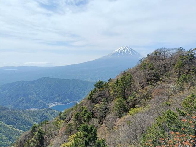 富士山と西湖を静かに堪能できる穴場コース！ 「西湖いやしの里 根場」から御坂山地「鬼ヶ岳・雪頭ヶ岳」周回ハイキング！  下山後は観光＆温泉でスッキリの画像004