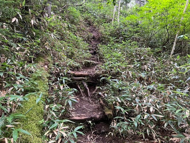 山は誰が守っていくのか？  従来の枠組みを超えた「未来型の登山道管理」へ【100年先までつなぐ、大雪山の自然と登山道 vol.3】の画像005