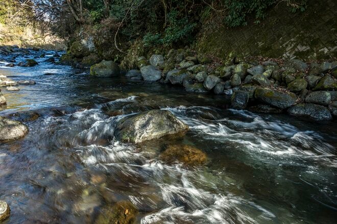 【渓流釣り】澄んだ流れの渓流で、一年中釣りができる幸せ「芝川特別区」でフライフィッシング！   静岡県｜2025年の画像005