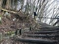 奇跡の現象「霜の花」がお出迎え！  初心者でも楽しめる静岡県「竜爪山ハイキング」山頂からの駿河湾と富士山の絶景とは？の画像001