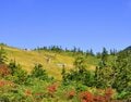 「秋の空が高い」のはなぜ？ 「秋晴れ」を当てるポイントは「帯状高気圧」！ 【山の天気と気象 vol.6】の画像001