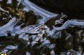 【渓流釣り】一日でハシゴできるバリエーション豊かなフィールドが魅力！  “昼なお暗い渓”で飛び出した泣き尺イワナ  長野県天竜川水系・2025年の画像007