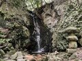 【夏の低山は早朝勝負！】梅田駅からわずか小一時間の国見山＆枚方の最高峰 “サンドイッチ山” で「サクっとモーニング歴史山歩（サンポ）」【里山アドベンチャー！ソトアソ日和 vol.5】の画像010