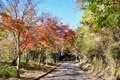 まだ間に合う！【関東の紅葉最終案内】房総・大福山と梅ヶ瀬渓谷で晩秋のんびり歩きの画像011